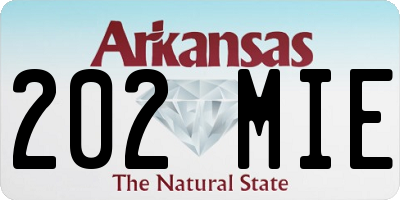 AR license plate 202MIE