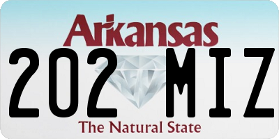 AR license plate 202MIZ
