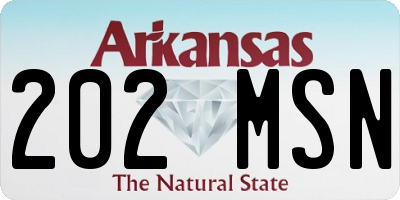 AR license plate 202MSN