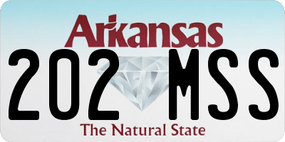 AR license plate 202MSS