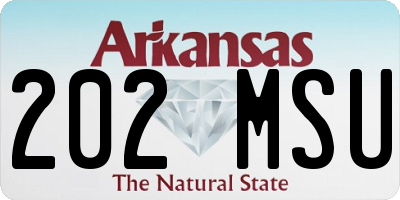 AR license plate 202MSU