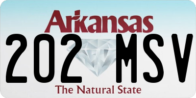 AR license plate 202MSV