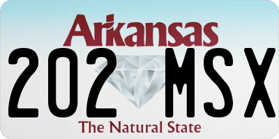 AR license plate 202MSX