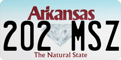 AR license plate 202MSZ