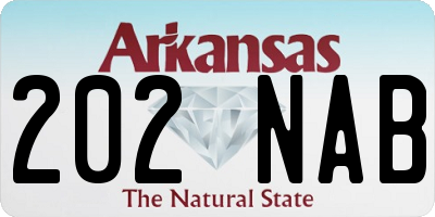 AR license plate 202NAB