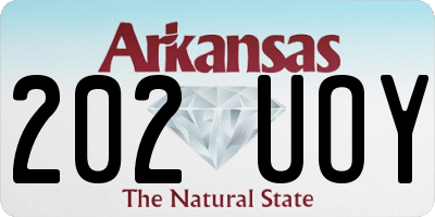 AR license plate 202UOY