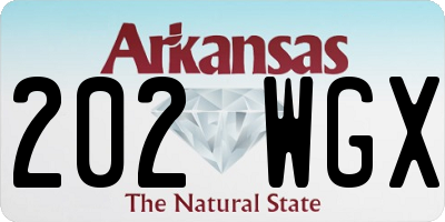 AR license plate 202WGX