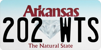 AR license plate 202WTS