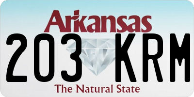 AR license plate 203KRM