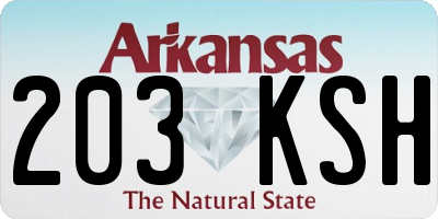 AR license plate 203KSH