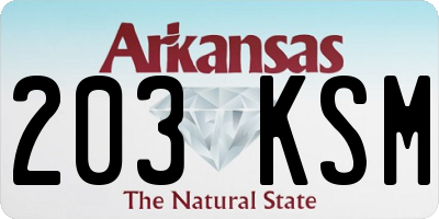 AR license plate 203KSM