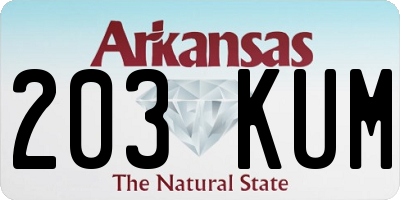 AR license plate 203KUM