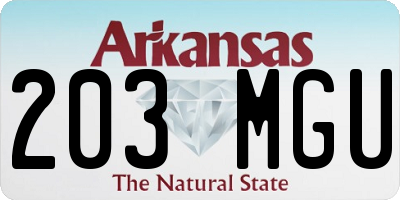 AR license plate 203MGU