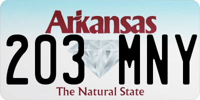 AR license plate 203MNY
