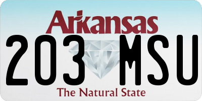 AR license plate 203MSU