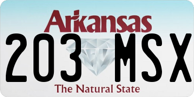 AR license plate 203MSX