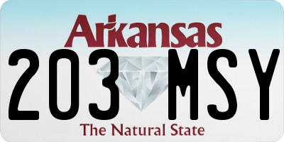 AR license plate 203MSY