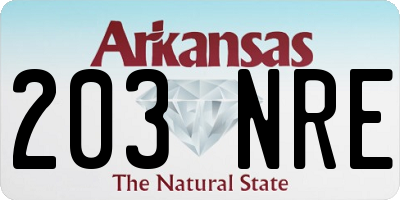 AR license plate 203NRE