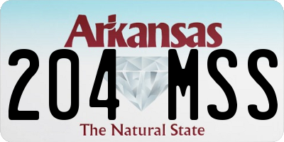 AR license plate 204MSS
