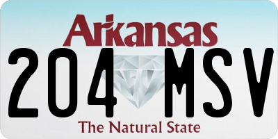 AR license plate 204MSV