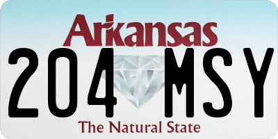 AR license plate 204MSY
