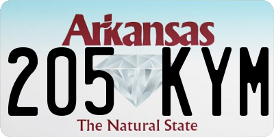 AR license plate 205KYM