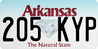 AR license plate 205KYP