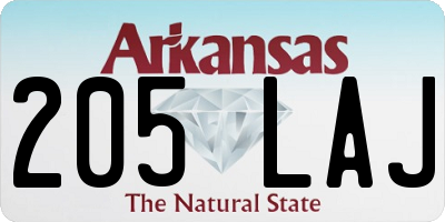 AR license plate 205LAJ