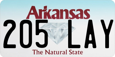 AR license plate 205LAY