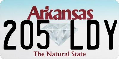 AR license plate 205LDY