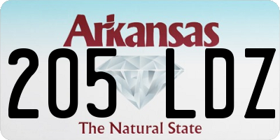 AR license plate 205LDZ