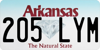 AR license plate 205LYM