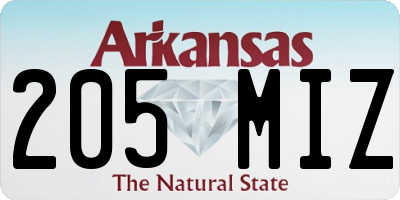 AR license plate 205MIZ