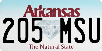 AR license plate 205MSU