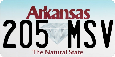 AR license plate 205MSV