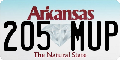 AR license plate 205MUP