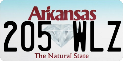 AR license plate 205WLZ