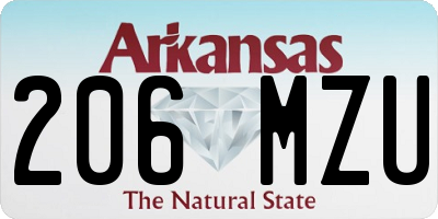 AR license plate 206MZU