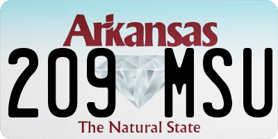 AR license plate 209MSU