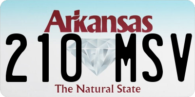 AR license plate 210MSV