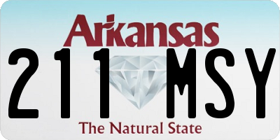 AR license plate 211MSY