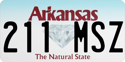 AR license plate 211MSZ