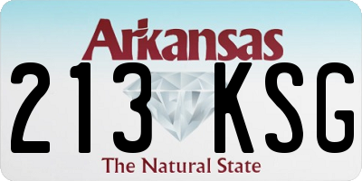 AR license plate 213KSG