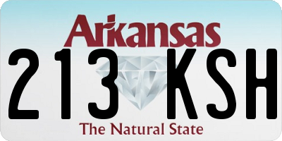 AR license plate 213KSH