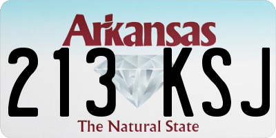 AR license plate 213KSJ