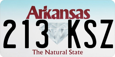 AR license plate 213KSZ