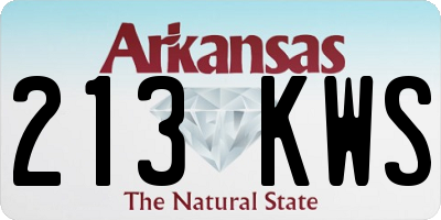 AR license plate 213KWS