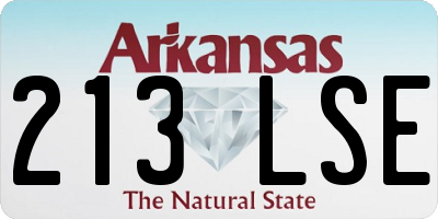 AR license plate 213LSE