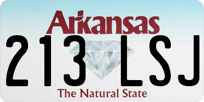 AR license plate 213LSJ
