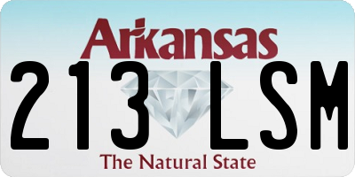 AR license plate 213LSM